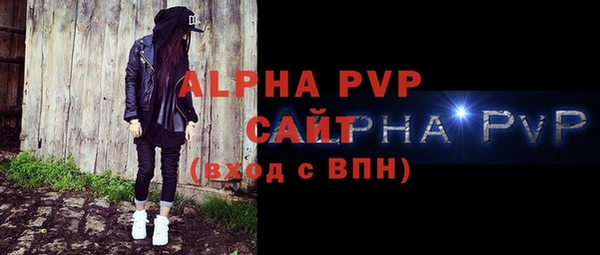 спиды Богородицк