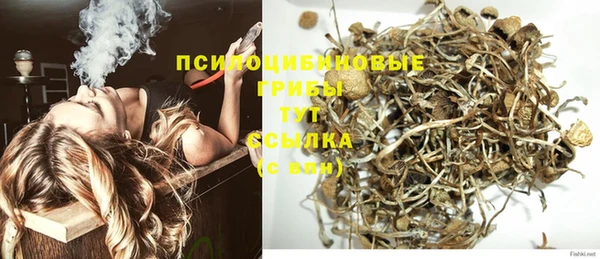 MDMA Богданович
