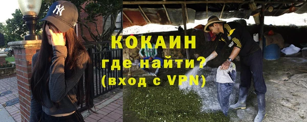 спиды Богородицк