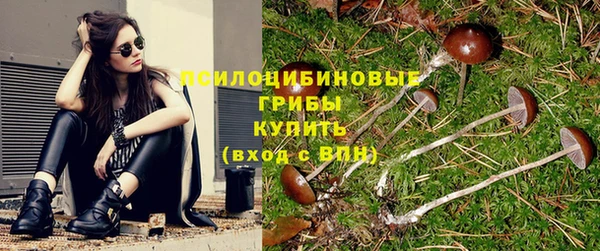 спиды Богородицк