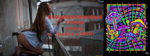 спиды Богородицк