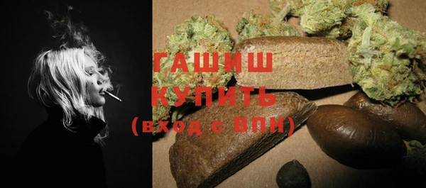 спиды Богородицк