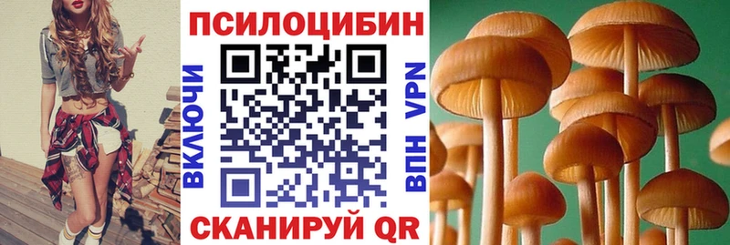 Галлюциногенные грибы GOLDEN TEACHER  Бугульма 