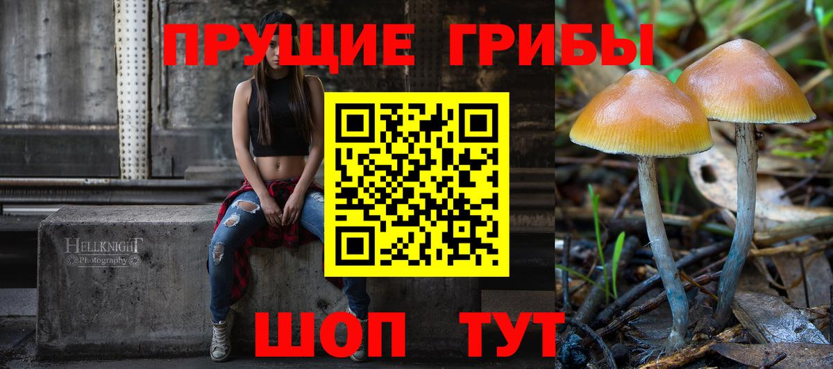 Псилоцибиновые грибы GOLDEN TEACHER Бугульма